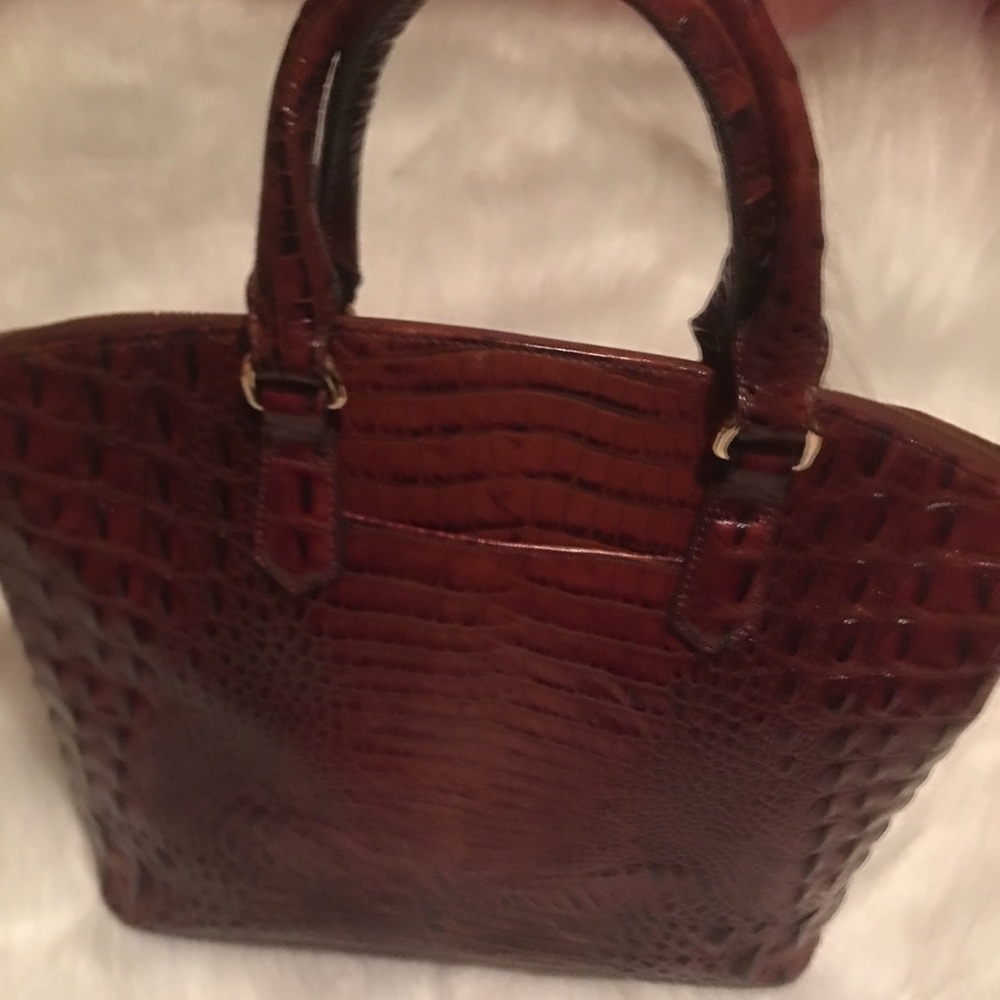 Pecan Brahmin Duxbary Bag, Great Condition!